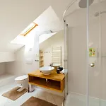 Alone 5br+3bath Penthouse In Center Of 프라하